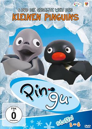 Pingu - Die gesamte Welt des kleinen Pinguins - Staffel 1 Cover