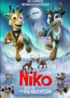 Niko 3 - Reise zu den Polarlichtern (2024) Cover